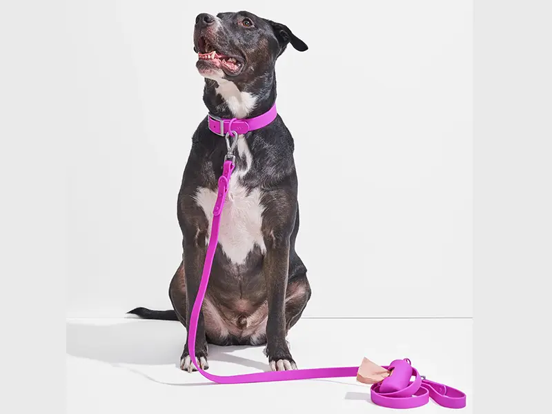 Webbing for durable dog collars