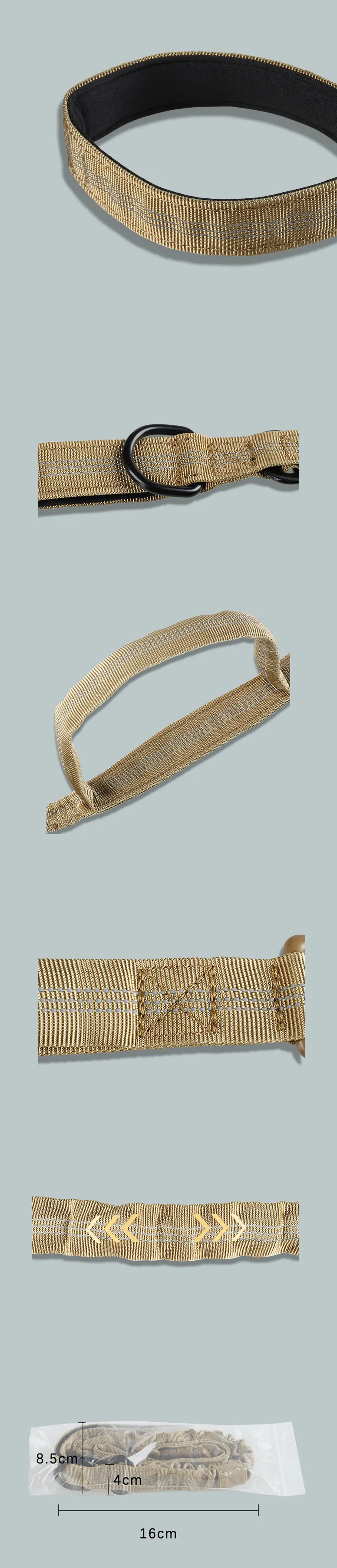 Detailed view showing the leash's robust metal clasp and braided construction